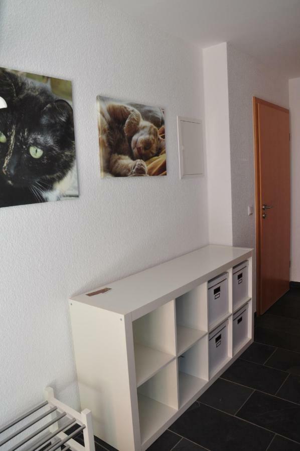 Ferienwohnung Roter Kater Am Nationalpark Eifel Bergbuir Ngoại thất bức ảnh