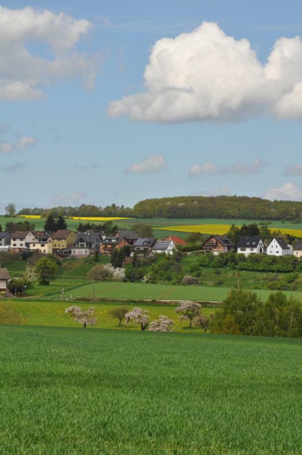 Ferienwohnung Roter Kater Am Nationalpark Eifel Bergbuir Ngoại thất bức ảnh